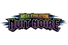 Nuit Noire logo