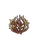 Brambleghast