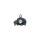 Shroodle