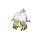 Tarountula
